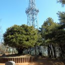 강서둘레길(봉제산코스) 이미지