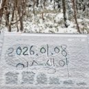 민트캠
