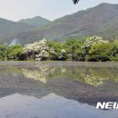 밀양 이미지