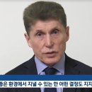 러시아 “포획한 고래들, 바다로 돌려보내라” 이미지