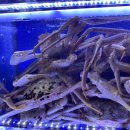 명진수산직매장 이미지