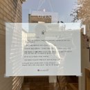 [대구 삼덕동 카페] 실시간 만개한 대구 벚꽃 명소 카페삼덕 웨이팅부터 포토존까지 총정리