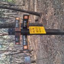 동산통신 | (구미 천생산 산행) 첫번째 산행은 언제나 설렌다