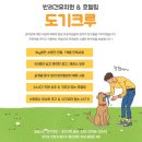 무지개유치원 | 의왕 안양 애견유치원 추천 도기크루 ㅣ강아지 사회성 변화 한달 후기