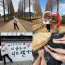 예산-47 | 충남 예산 가볼만한곳 덕산온천 메타세쿼이어길 벽화거리 당일 여행코스