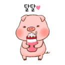 마리롱 네이버블로그