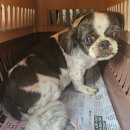 목포복집 이미지