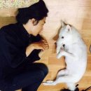 이너피스 이미지