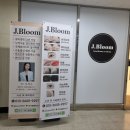 대전 시청역 속눈썹 제이블룸 둔산동 속눈썹펌