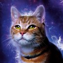 (주)마블스 이미지