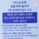 #뭉게뭉게 네이버블로그
