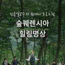 퀘렌시아 이미지