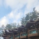 태백마트 | ​[강원도 여행] 해발 700m 힐링 스팟, 내돈내산 태백고원자연휴양림 휴양관 솔직 후기 🌲