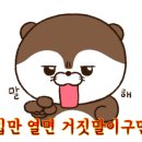 들레마켓 이미지