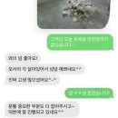 성하하이츠앞 - 좌 | 이문동중앙하이츠 도배시공 디아망PR002-12 크림화이트