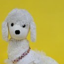 가우누리협동조합 이미지