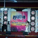 밸리댄스 이미지