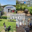 진행농장 | 울산 애견 운동장 대관 삼형제농장 2시간 이용 후기