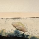 도산대로 이미지