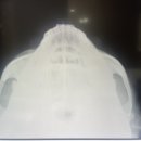 LK성형외과의원 이미지