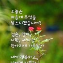 인생이 한그루꽃이라면~ 이미지