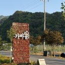 가마골바 | 단양 감자옹심이 맛집 ‘가마골쉼터’ / 감자전 맛집 / 토종닭 닭볶음탕 후기