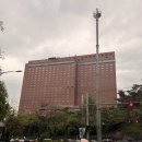 괜찮은 월요일 | 신라호텔 더 파크뷰 월요일 디너 후기(라세느와 비교 point 포함)