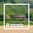 풍경소리민박 | 옥천펜션 금모래펜션민박, 금강뷰와 산속 힐링이 있는 옥천군펜션 추천