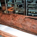 창원 다호리고분군 이미지