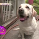 호야농장 이미지