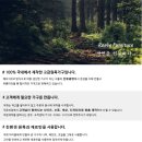선유공방