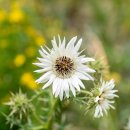 정도행정사 이미지