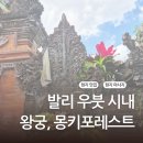 아이랑 발리 우붓 여행 #우붓왕궁 #몽키포레스트 #우붓맛집마사지