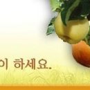 큰솔농장 이미지