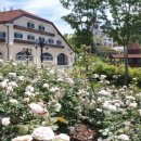 지정환임실치즈피자 이미지