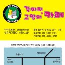 스타펫미팅 이미지