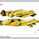 홍삼세상 - 창원시 성산구 용지로 225 | 홍삼세상