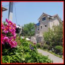 작은쉼터 스텔라 이미지