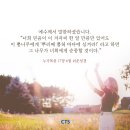 [CTS 말씀이미지] 누가복음 17장 6절 #말씀이미지 #감경철 #CTS #핸드폰배경화면 이미지