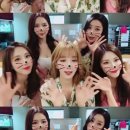 8스텔라 이미지