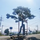 소답동121 | 창원파스타/유니시티맛집/키친187창원점에 다녀온 솔직대박후기