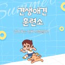 무지개훈련소 | 견생 애견훈련소 강아지가 보는 세상 , 진짜 흑백일까 ??