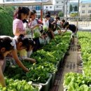 명덕농장 이미지