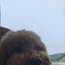 메종드 로이 이미지