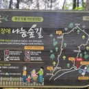 붉은오름자연휴양림2 네이버블로그
