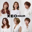 시크헤어(chic)