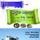 해비치펜션 이미지