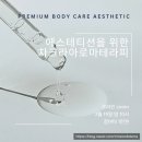 초이온도테라