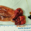 김수환내과의원 이미지