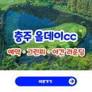 충주시노인복지회관 | 충주 올데이CC 예약 꿀팁, 그린피·야간 라운딩 총정리